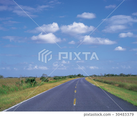 Everglades Marsh,佛羅里達州,美國 Everglades Marsh,佛羅里達州,美國 30483379