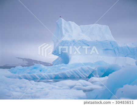 Antarctica 30483651