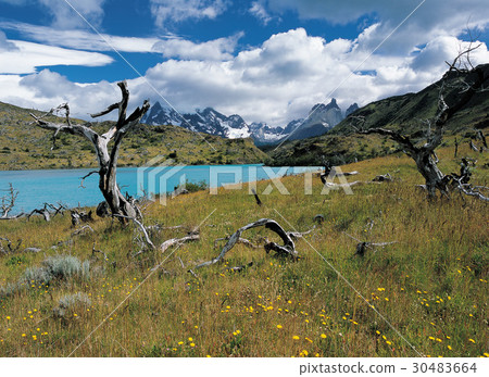 Torres Delphi National Park, Patagonia, Chile 30483664