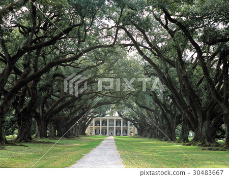 New Orleans, United States New Orleans, United States 30483667