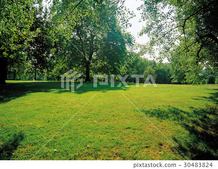 Park, United Kingdom 30483824