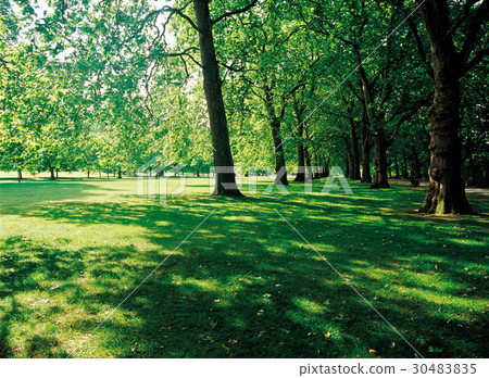 Park, United Kingdom 30483835