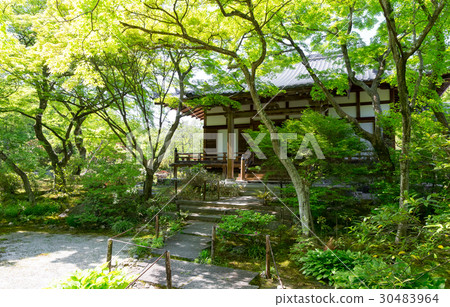 新鮮的綠色 - 寶庫 30483964