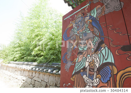 Bamboo，Beomeosa，Geumjeongsan，Geumjeong-gu，Busan 30484314