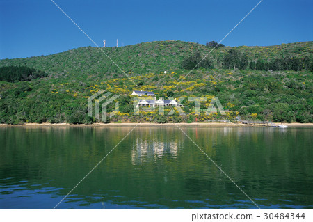 米爾福德峽灣，南島，新西蘭 30484344