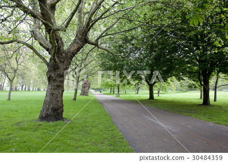 海德公園，倫敦，英國 30484359