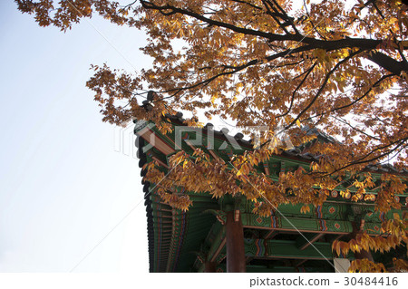 首爾中區南山谷韓屋村 30484416