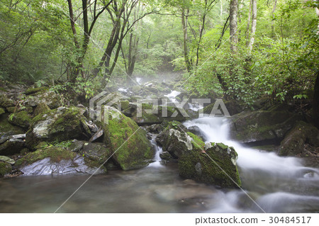 江原道平昌縣Jangjeon Valley 30484517