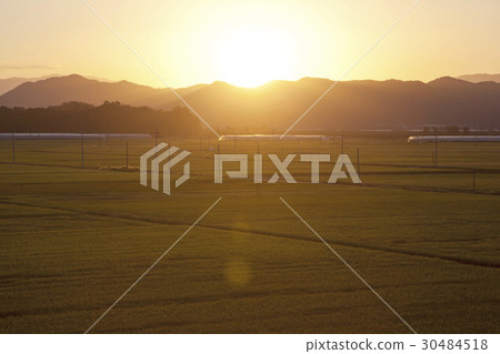 忠清北道 30484518