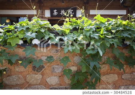 全北省全州市全州韓屋村的Da Hwa Won 30484528