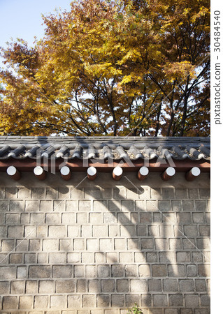 Namsangol Hanok Village, Jung-gu, Seoul 30484540
