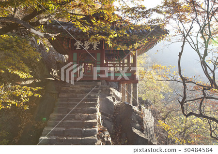 一條牆，全州，全北 30484584