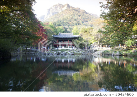 Ssanggyeol, Baekyangsa, Baekam Mountain, Changseong County, Jeonnam 30484600