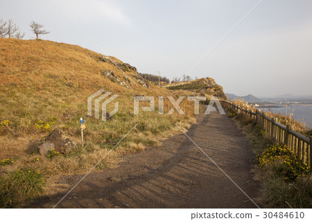 佛羅里達西歸浦市Olgale 30484610