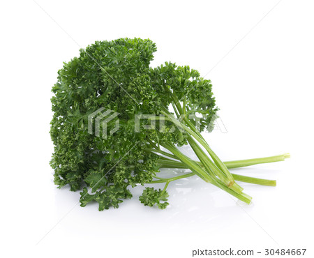 parsley isolated on a white background 30484667