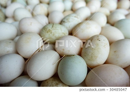 Eggs on eggs background in market Eggs on eggs background in market 30485047