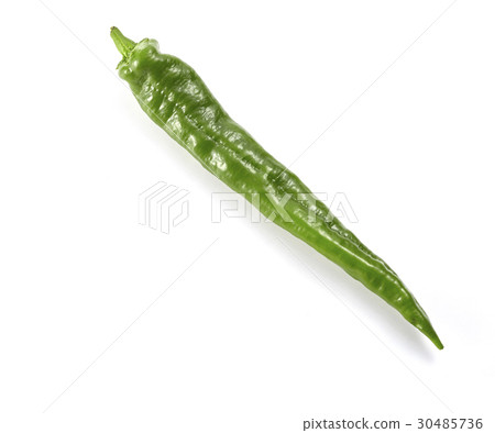 Banzakuji red pepper (Kyoto vegetables) 30485736