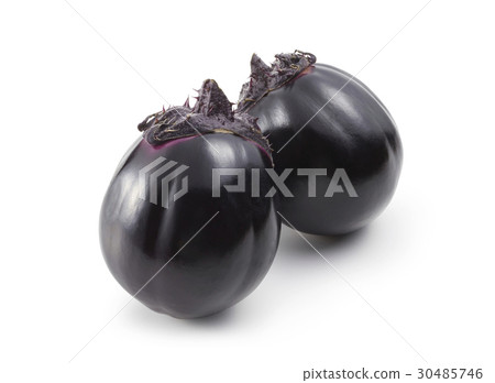 Kamo-no-yu (Kyoto vegetables) 30485746