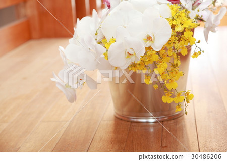 Phalaenopsis orchid bouquet 30486206