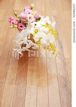 蘭花植物蘭花花束 30486207