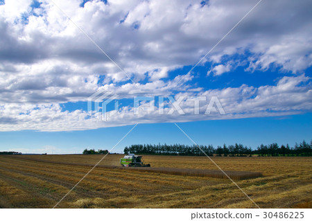 Landscape of the East 30486225