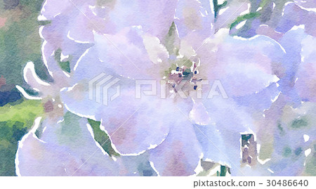 Vivid brilliant hand gauze watercolor interior view white background: flower special feature 30486640