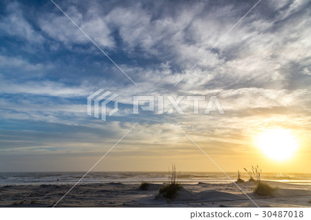 Hazy beach morning Hazy beach morning 30487018