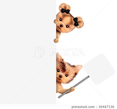 Funny couple of puppies holding empty banner Funny couple of puppies holding empty banner 30487136