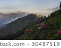 Alpine scenery 30487519