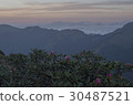 Alpine scenery 30487521
