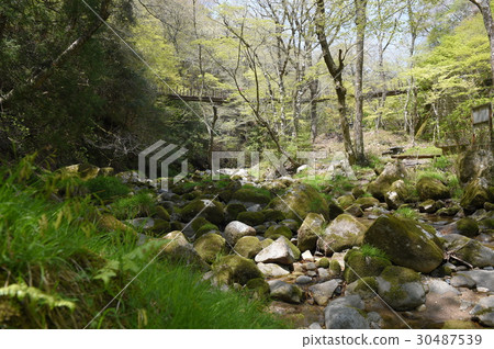 清除流量和懸索橋 30487539