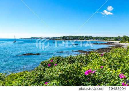 Simonton Cove Portland Maine 30488004