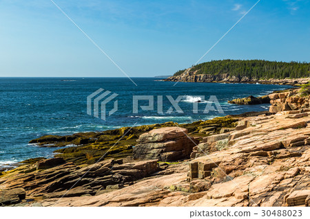 Maine's Rocky Coast Maine's Rocky Coast 30488023