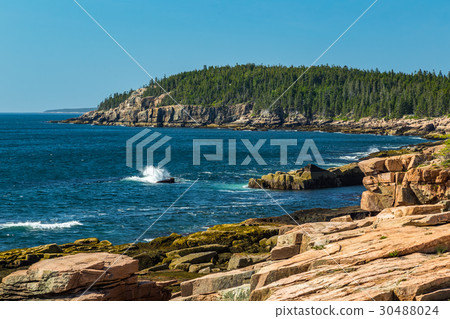 Maine's Rocky Coast 30488024