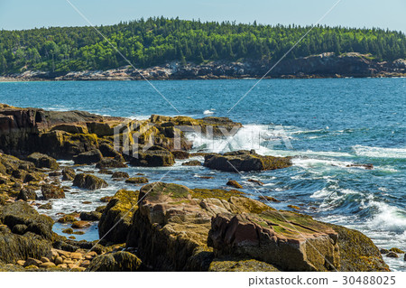Maine's Rocky Coast Maine's Rocky Coast 30488025