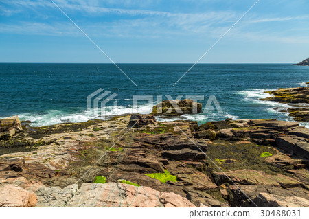 Maine's Rocky Coast Maine's Rocky Coast 30488031