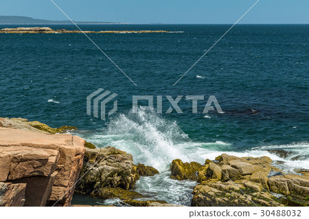 Maine's Rocky Coast Maine's Rocky Coast 30488032