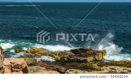 Maine's Rocky Coast Maine's Rocky Coast 30488034