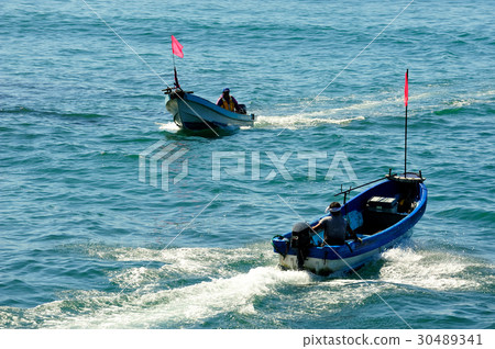 海帶釣魚 30489341