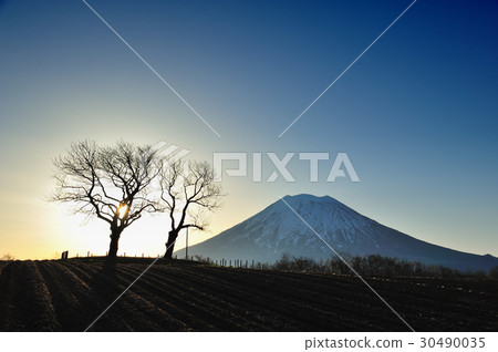 Yoyo Yotei mountain Yoyo Yotei mountain 30490035