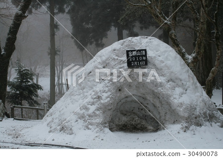 雪地 30490078