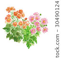 Kogik 2 30490124