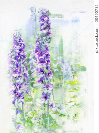 Watercolored delphinium Watercolored delphinium 30490755