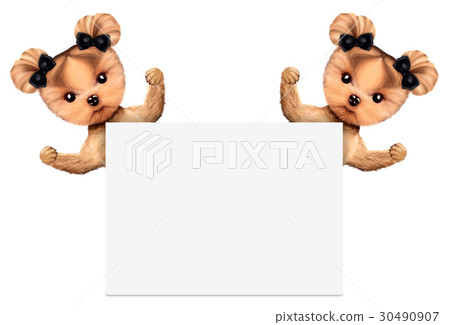 Funny couple of puppies holding empty banner Funny couple of puppies holding empty banner 30490907