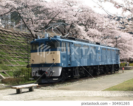 EF 64 electric locomotive in front of Katsunuma Vineyouse station 30491265