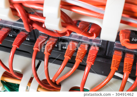 Red network cables connected to switch Red network cables connected to switch 30491462
