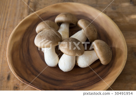 蘑菇Kyotanba Daikoku Shimeji 蘑菇Kyotanba Daikoku Shimeji 30491954