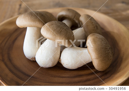 蘑菇Kyotanba Daikoku Shimeji 30491956