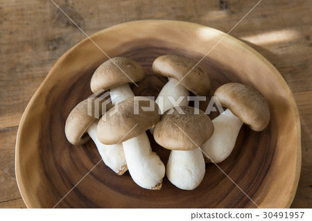 Mushroom main book 30491957