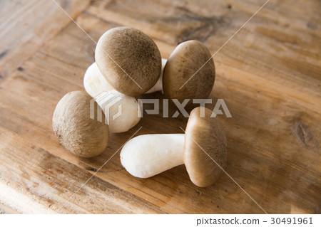 蘑菇主書 30491961